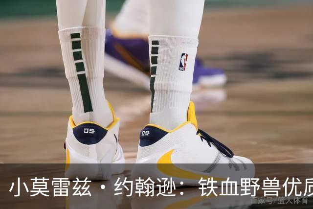 小莫雷兹·约翰逊：铁血野兽优质冠军拼图 开发三分顺位直逼乐透